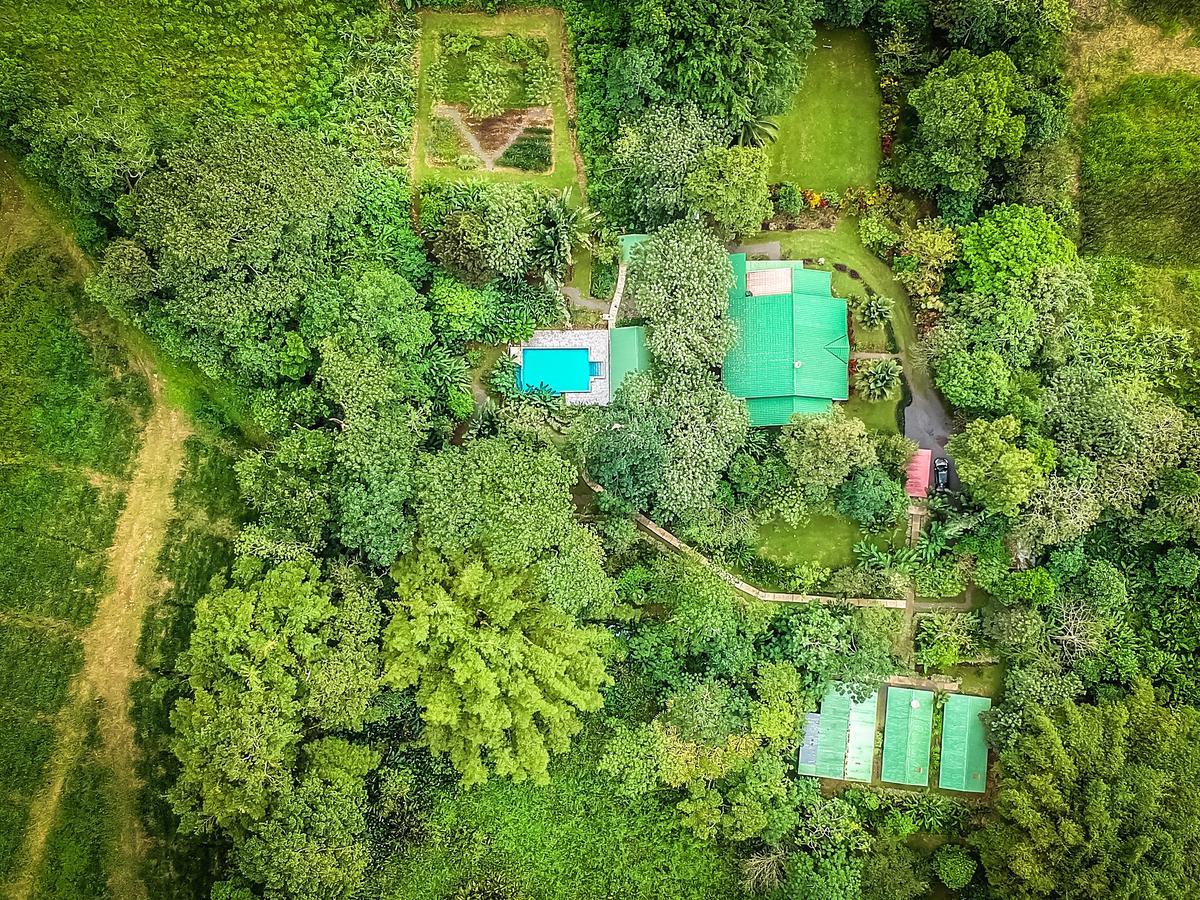 Tropical Paradise Bungalows Pital  Kültér fotó